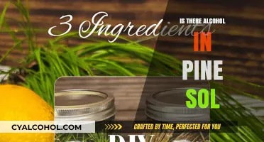 Does Pine Sol Contain Alcohol? Uncovering the Truth Behind the Ingredients