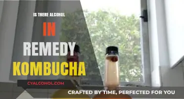 Does Remedy Kombucha Contain Alcohol? Uncovering the Truth Behind the Brew