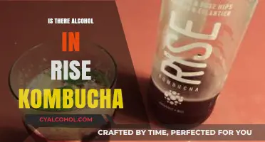 Does Rise Kombucha Contain Alcohol? Uncovering the Truth About Its Ingredients