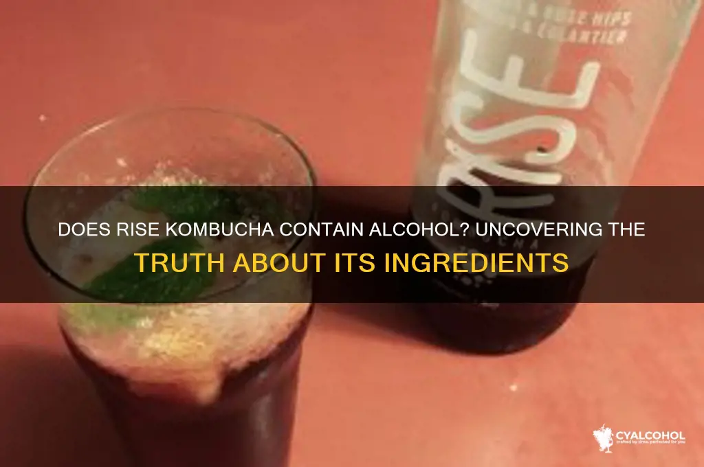 is there alcohol in rise kombucha