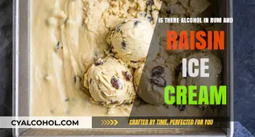 Rum and Raisin Ice Cream: Alcoholic or Not?
