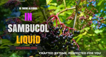 Does Sambucol Liquid Contain Alcohol? Facts You Need to Know
