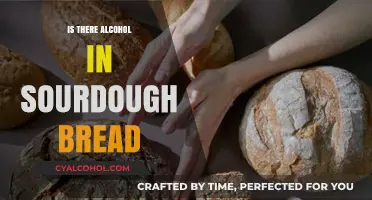 Does Sourdough Bread Contain Alcohol? Unraveling the Fermentation Mystery
