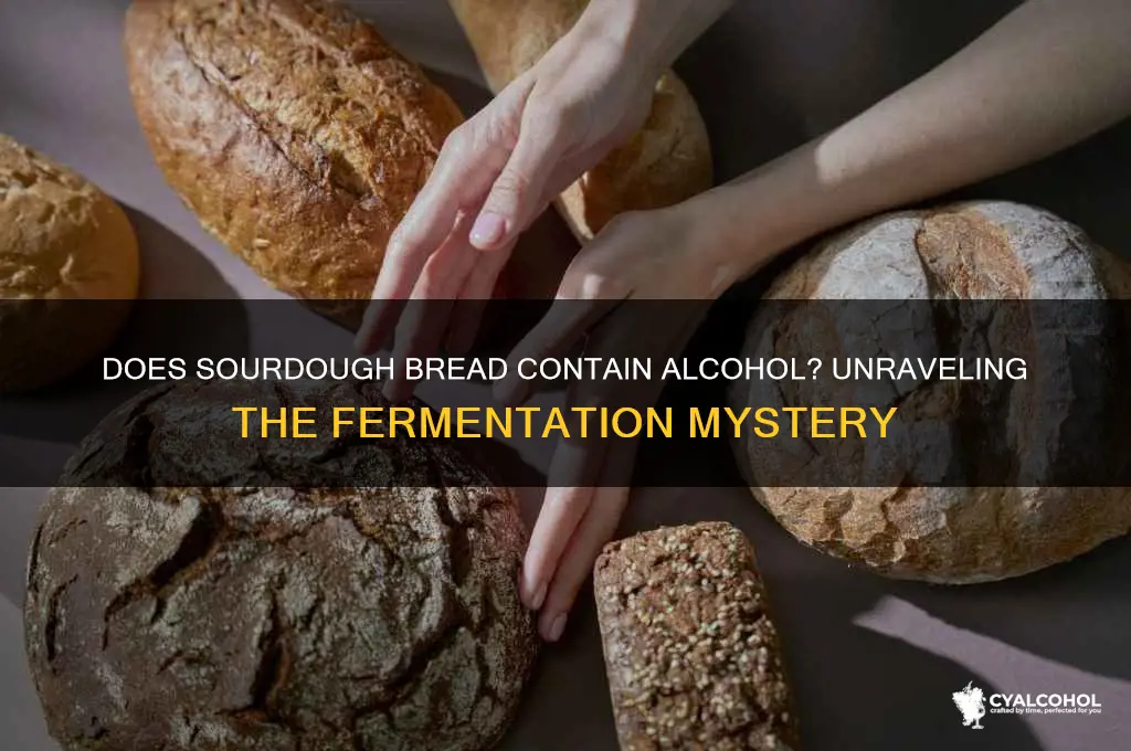 is there alcohol in sourdough bread