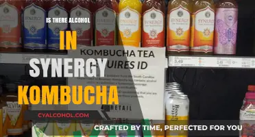 Does Synergy Kombucha Contain Alcohol? Unveiling the Truth Behind the Brew