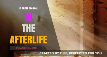 Exploring the Afterlife: Does Alcohol Exist Beyond Our Mortal Coil?