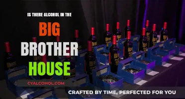 Does Big Brother Allow Alcohol in the House? The Truth Revealed