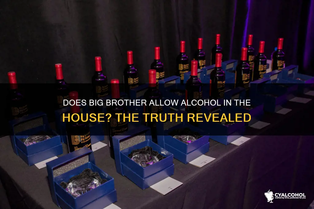 is there alcohol in the big brother house