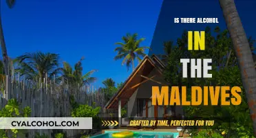 Exploring Alcohol Availability in the Maldives: What Tourists Need to Know