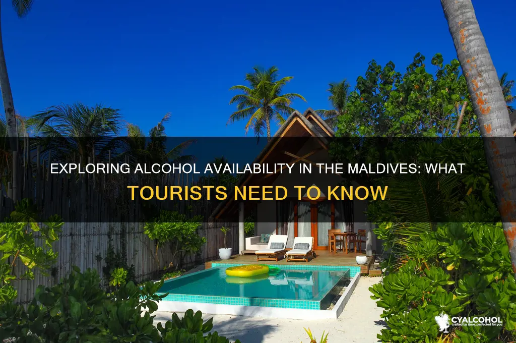 is there alcohol in the maldives