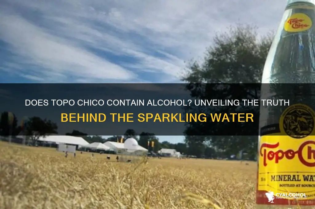is there alcohol in topo chico