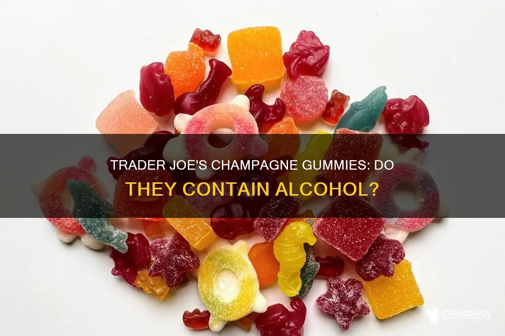 is there alcohol in trader joes champagne gummirs