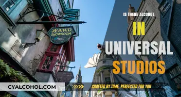 Exploring Universal Studios: Alcohol Availability and Options Revealed