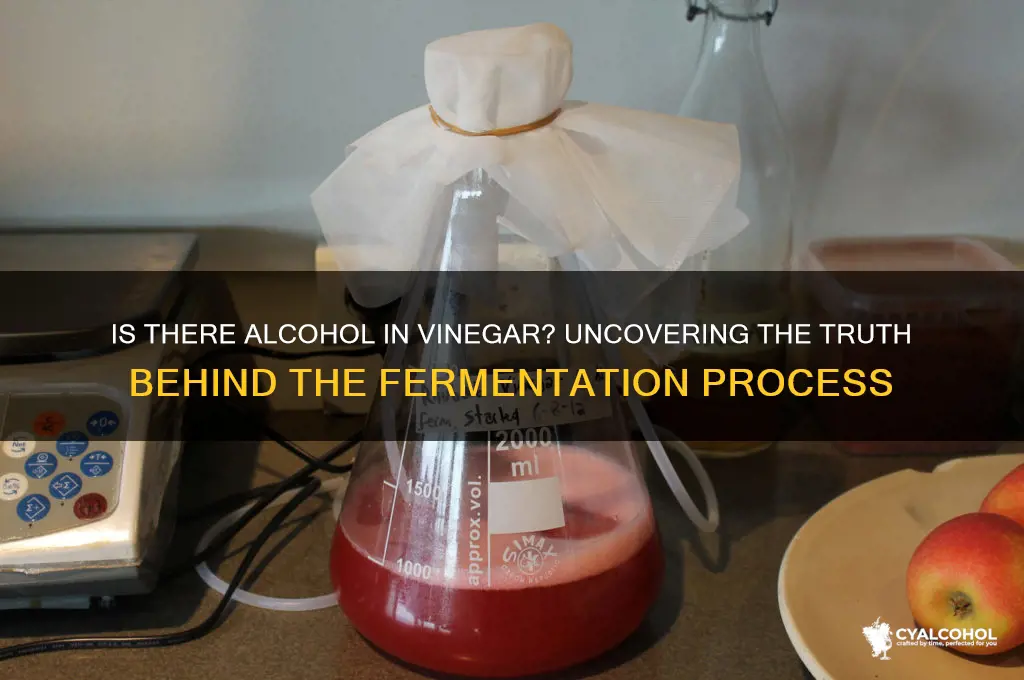is there alcohol in vinegar