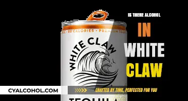 Does White Claw Contain Alcohol? Uncovering the Truth Behind the Drink