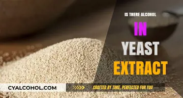 Is There Alcohol in Yeast Extract? Uncovering the Truth
