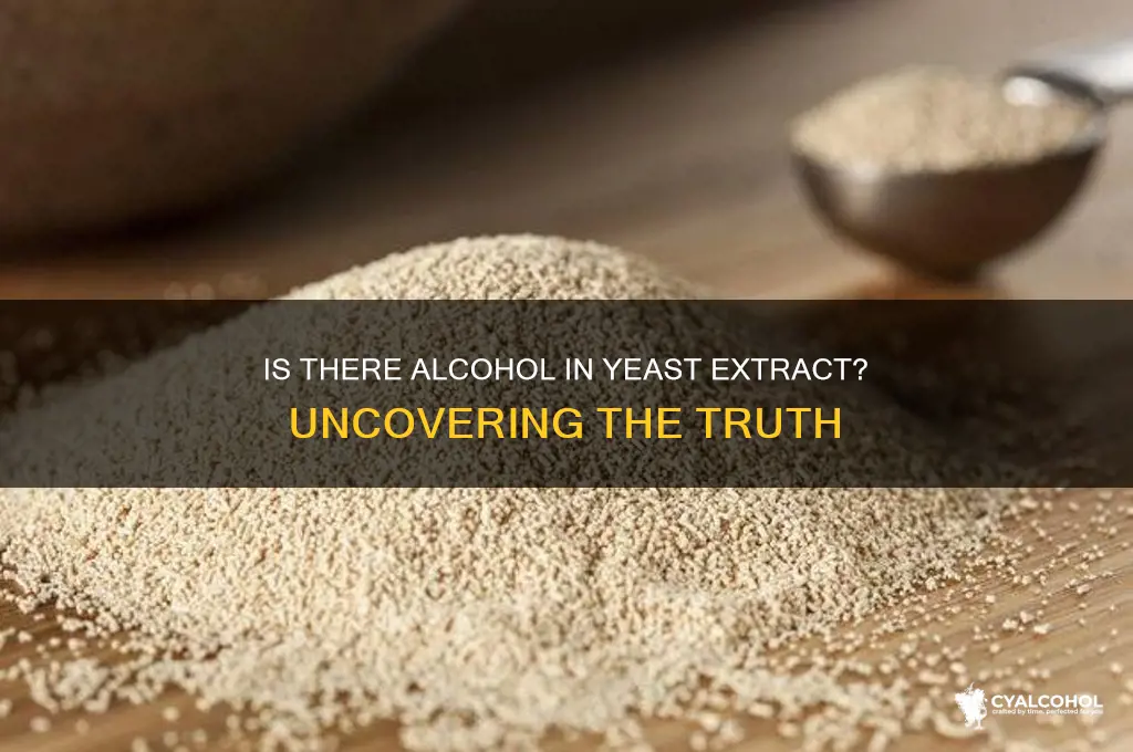 is there alcohol in yeast extract