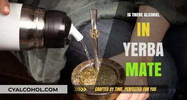 Does Yerba Mate Contain Alcohol? Uncovering the Truth Behind the Brew