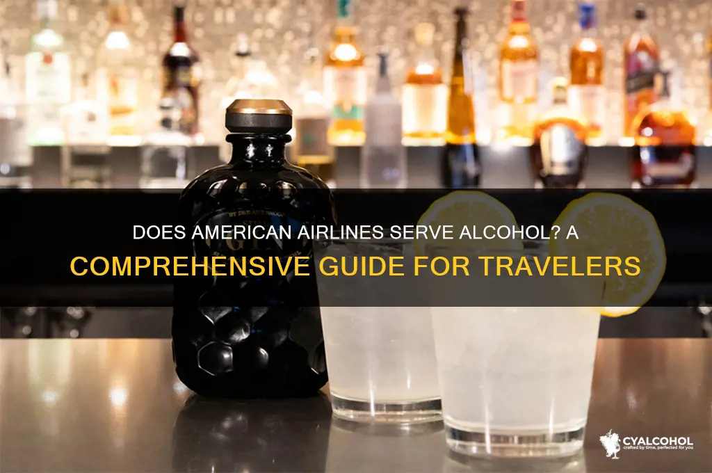 is there alcohol on american airlines