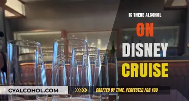 Disney Cruise Alcohol Policy: What to Expect on Board