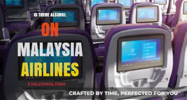 Does Malaysia Airlines Serve Alcohol? A Guide to In-Flight Beverages