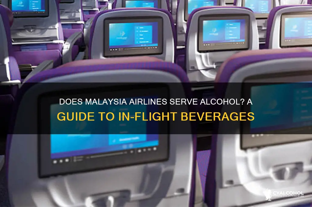 is there alcohol on malaysia airlines