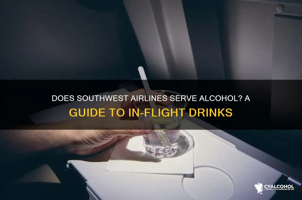 Does Southwest Airlines Serve Alcohol? A Guide To In-Flight Drinks