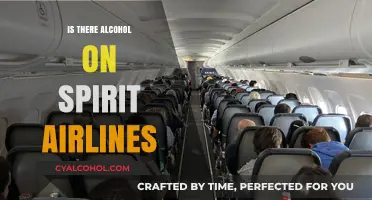 Does Spirit Airlines Serve Alcohol? A Guide to In-Flight Drinks