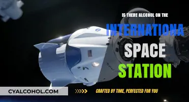 Alcohol in Space: Is It Allowed on the ISS?