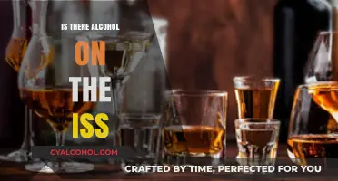 Is Alcohol Allowed on the International Space Station? Facts Revealed