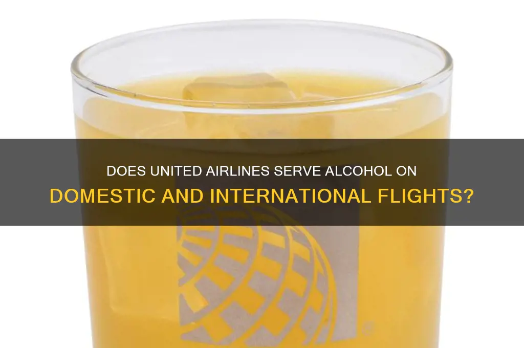 is there alcohol on united flights