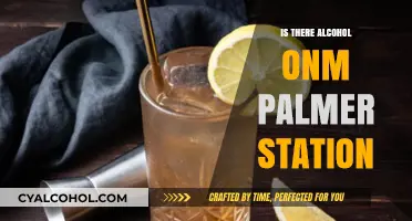 Exploring Palmer Station: Does Alcohol Exist in Antarctica's Research Hub?