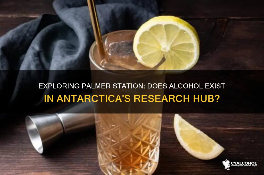 is there alcohol onm palmer station