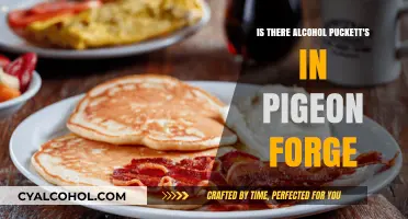 Does Puckett's in Pigeon Forge Serve Alcohol? Find Out Here
