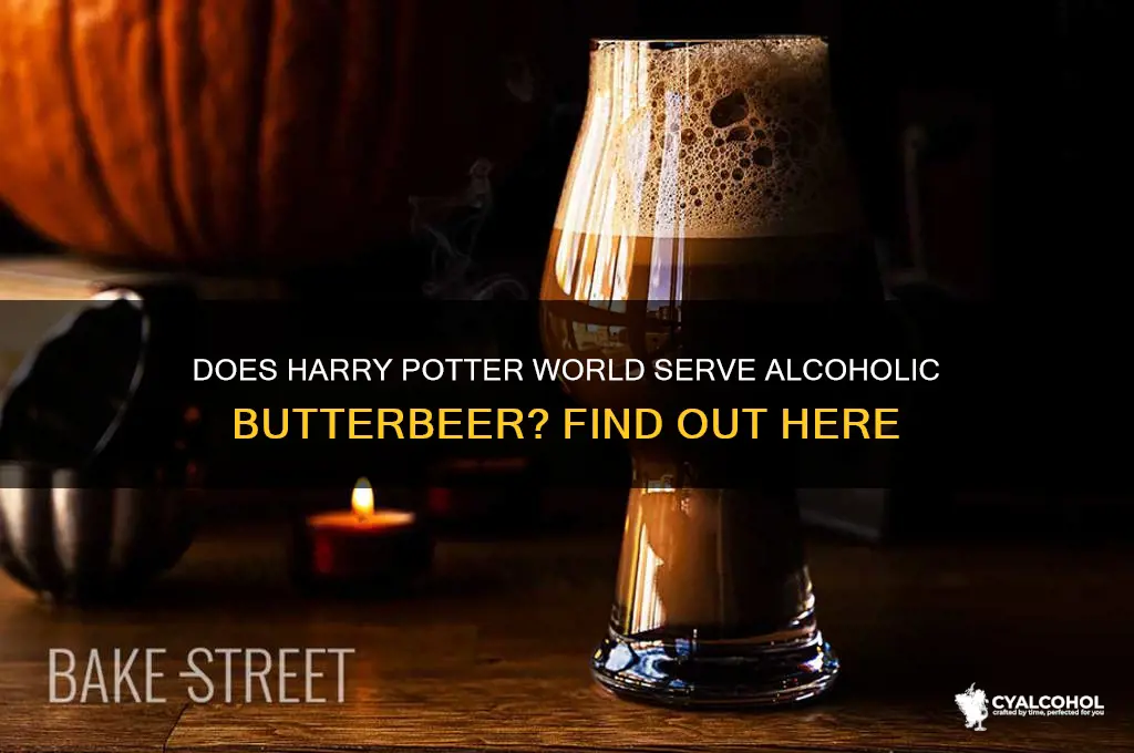 is there alcoholic butterbeer at harry potter world