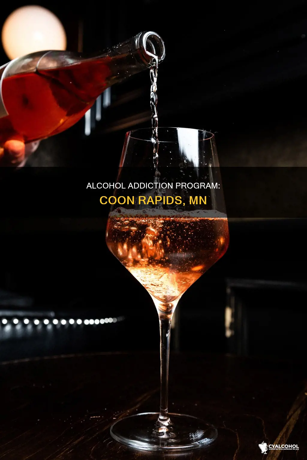 is there an alcohol addiction program near coon rapids mn
