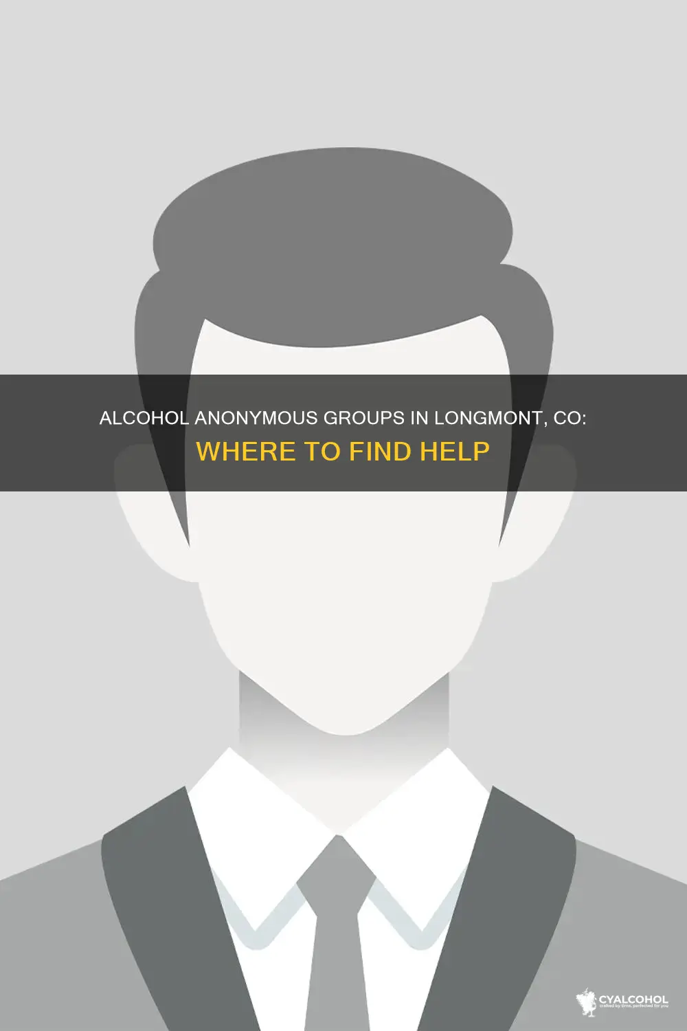 is there an alcohol anonymous group in longmont co