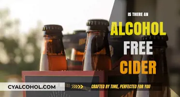 Exploring Alcohol-Free Cider Options: A Refreshing Alternative for All