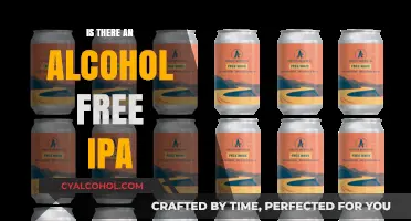 Exploring Alcohol-Free IPA Options: A Guide to Non-Alcoholic Craft Beer