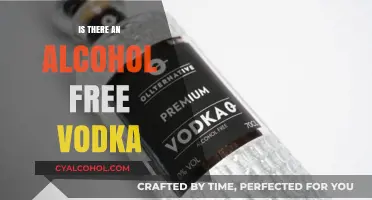 Exploring Alcohol-Free Vodka: A Sober Twist on a Classic Spirit
