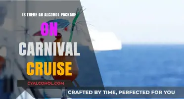 Carnival Cruise Alcohol Package: What's Included and How to Choose