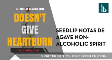 Alcohol and Heartburn: A Pain-Free Drinking Guide