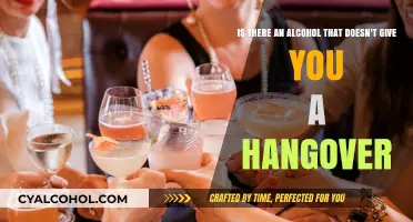 Alcohol and Hangovers: The Myth Explored