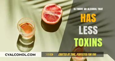 Healthier Alcohol Options: Exploring Drinks with Reduced Toxin Levels
