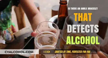 Alcohol-Detecting Ankle Bracelets: Monitoring Sobriety with Wearable Tech