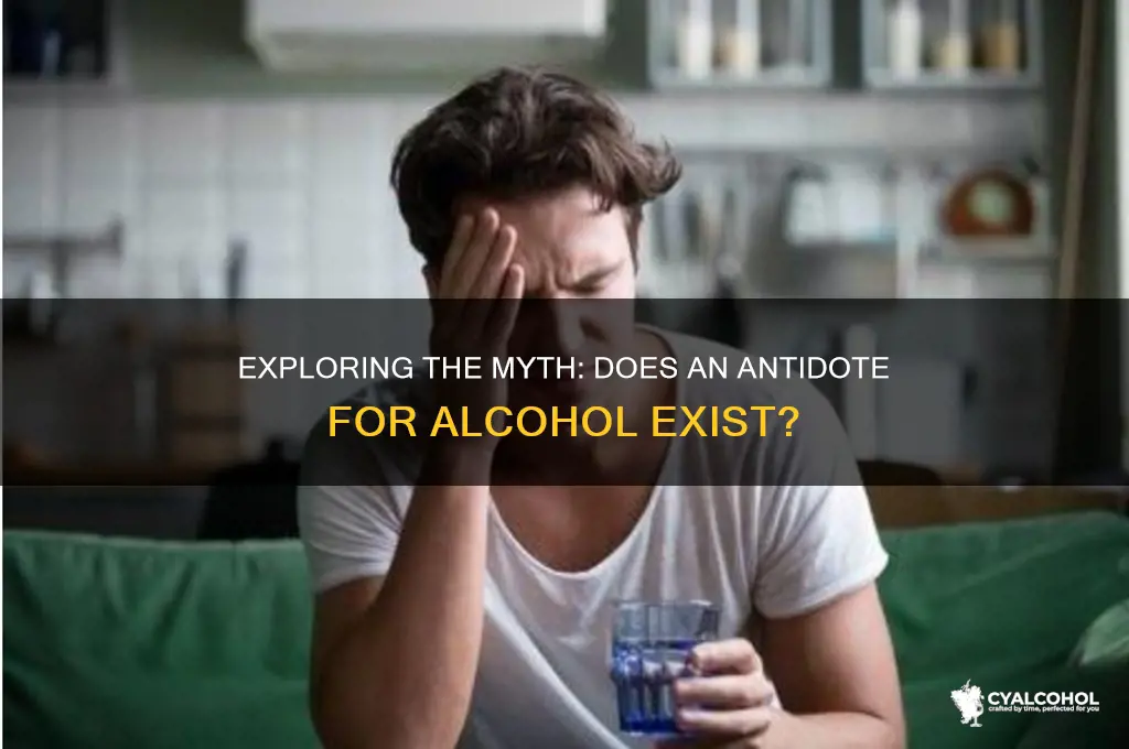 is there an antidote for alcohol