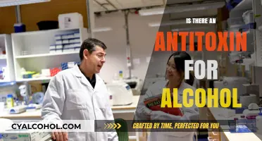 Exploring Alcohol Antitoxins: Do They Exist and How Do They Work?