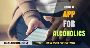 Apps for Alcoholics: Digital Tools to Support Recovery and Sobriety