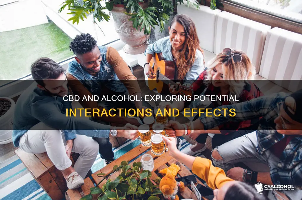 is there an ineraction between cbd and alcohol