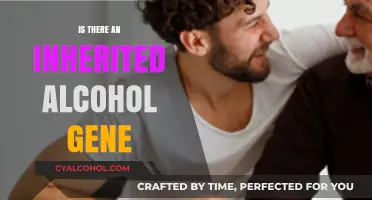 Inherited Alcohol Gene: Unraveling the Genetic Link to Alcoholism